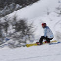 Foto Alexandre Cappi - BrStock 699.JPG