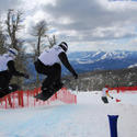 Foto Alexandre Cappi - BrStock 733.JPG