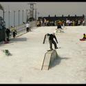 IMG_6057 _Large_.JPG