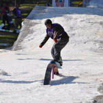 DSC_0226.jpg