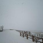 Portillo - 29/06/11